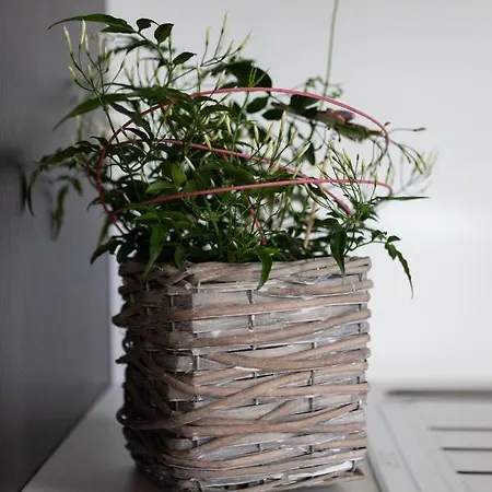 La Ferme D'elisa Hébergement de vacances