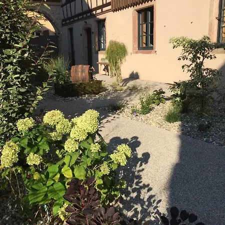 La Ferme D'elisa * Epfig